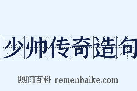 少帅传奇造句是什么意思的图片